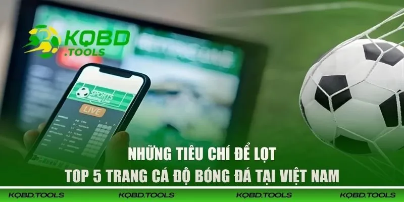 Top 5 Trang Cá Độ Bóng Đá Tại Việt Nam Theo Dữ Liệu Của KQBD 2 Những tiêu chí để lọt top 5 trang cá độ bóng đá tại Việt Nam